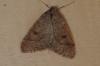 97449 – Photo : Paul Cabrol – France (09)