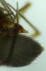 97416 – Photo : Anonyme – France (83)
