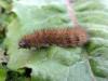 97860 – Photo : jeromebubu – France (81)