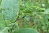 97092 – Photo : Patrick Le Mao – France (73)