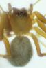 97408 – Photo : Anonyme – France (83)