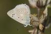 97013 – Photo : Nicolas Helitas – France (12)