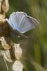 97014 – Photo : Nicolas Helitas – France (12)