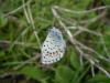 97596 – Photo : Christophe Girod – France (20)