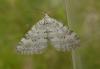 97317 – Photo : Ppersuy – France (26)