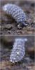 98566 – Photo : Sandra – France (33)