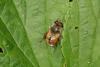 98300 – Photo : Michel Mathieu – France (14)