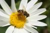 98435 – Photo : Michel Mathieu – France (14)