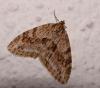 98147 – Photo : Arnaud Jean-Pierre – France (09)
