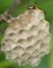 98487 – Photo : K. Poitrineau – France (73)