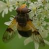 98493 – Photo : K. Poitrineau – France (73)