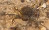 98813 – Photo : alain Roujas – Portugal