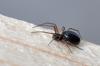 98045 – Photo : Christophe Quintin – France (21)