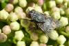 98406 – Photo : Patrick Le Mao – France (22)