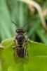 98506 – Photo : Patrick Le Mao – France (22)