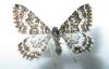 98151 – Photo : Jc.grandmaire – France (05)