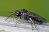 98790 – Photo : Christophe Quintin – France (21)
