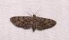 99471 – Photo : Arnaud Jean-Pierre – France (11)