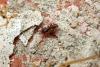 99781 – Photo : Nicolas Alric – France (12)