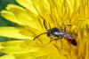 99451 – Photo : Christophe Quintin – France (22)