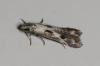 99745 – Photo : Paul Cabrol – France (09)