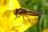 99830 – Photo : Patrick Le Mao – France (22)