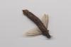 736 – Photo : Stephane VASSEL – Guyane française