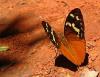 500 – Photo : Michel Guttin – Madagascar