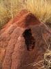405 – Photo : Michel Guttin – Madagascar